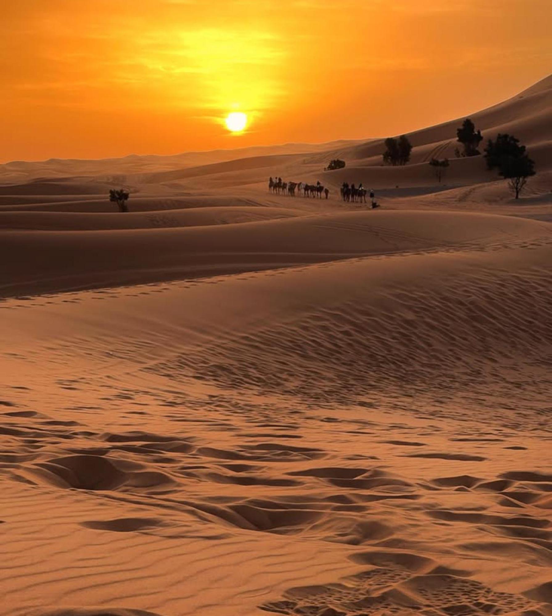 Merzouga Desert Campsite &Activities Exterior foto